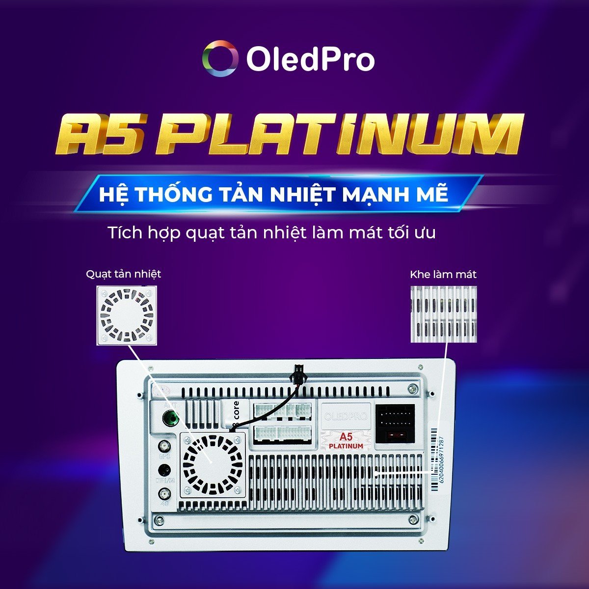 Man Hinh Oledpro A5 13